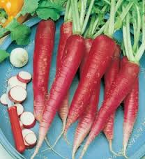 RAVANELLO LUNGO ROSSO CON PICCOLA PUNTA BIANCA GR.50